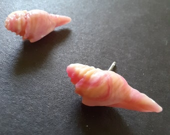 Oorknopjes met schelp