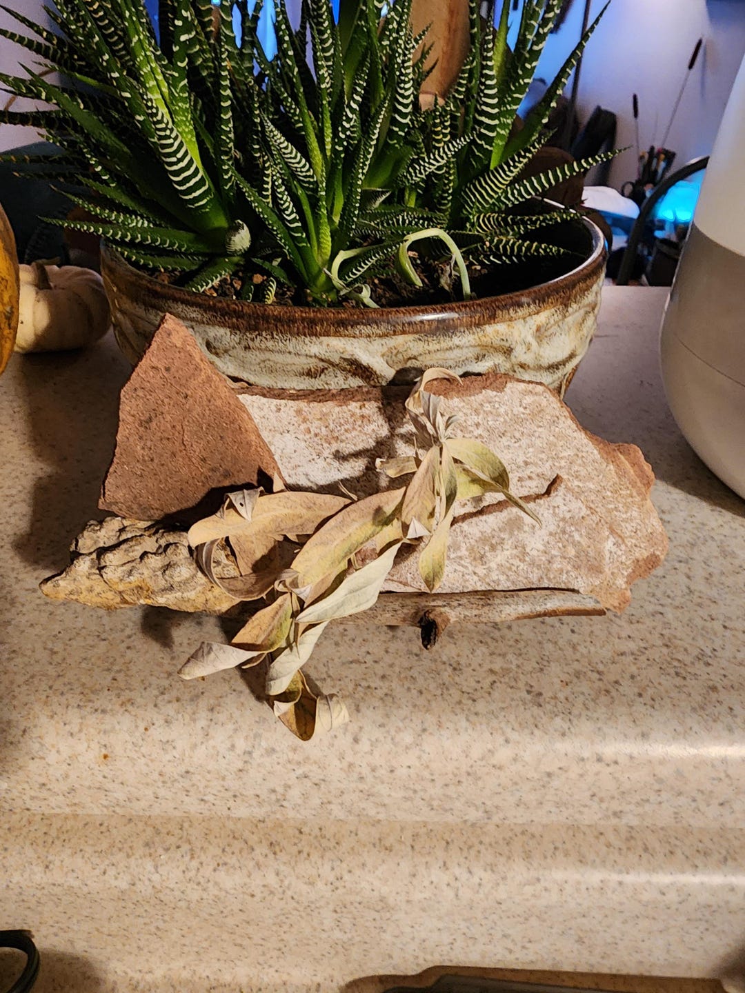 Sandstone Sedimentary Rock Pieces Unique Rare Art, Home Decor, Craft ...