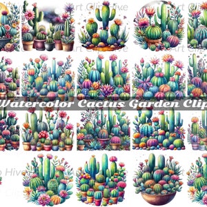 Aquarelle Cactus Clipart, succulentes PNG, Clipart jardin de cactus, Art de cactus peint à la main, succulentes numériques, téléchargement immédiat, Clipart plante