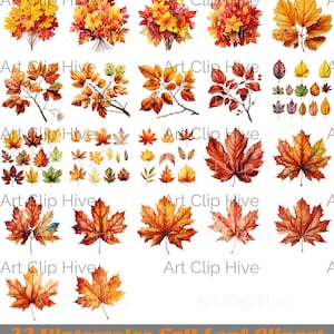 Fall Leaf Clipart Bundle, Autumn Fallen Leaves PNG, Watercolor Foliage, Thanksgiving Clipart Arrangement Cozy Decor, Scrapbooking Essentials