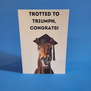 Carte de remise de diplôme drôle cheval brun, jolie carte de remise de diplôme universitaire cheval brun aquarelle, carte de remise de diplôme animal fait main & enveloppe autocollante