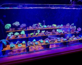 Frag Racks