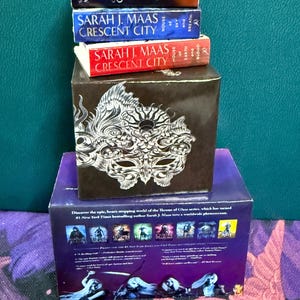 3D Printed Mini Books / ACOTAR mini book set / TOG mini book set/ Custom Mini Books / BLANK books