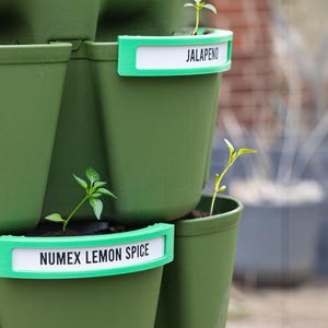 May include: A green vertical garden planter with three pots. The top pot has a green label that says "JALAPENO". The middle pot has a green label that says "NUMEX LEMON SPICE".