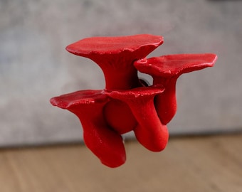 Jumping Spider Ledge - King Trumpet Mushroom (Pleurotus eryngii) - Magnetized shelf for enrichment - Spider Perch