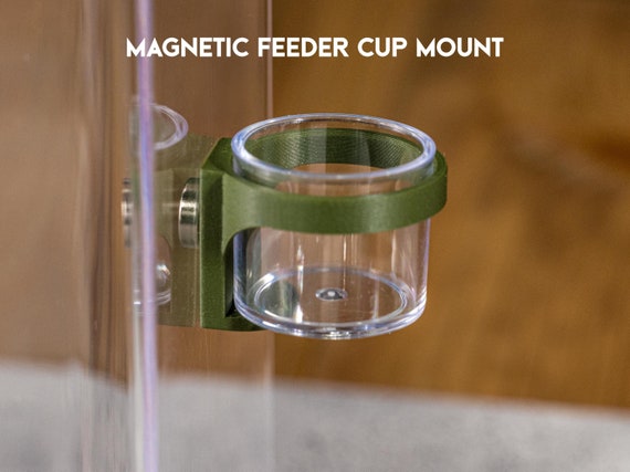 Magnetic Feeder Cup Mount: Clear cup with colored magnet for Jumping Spider, Mantis