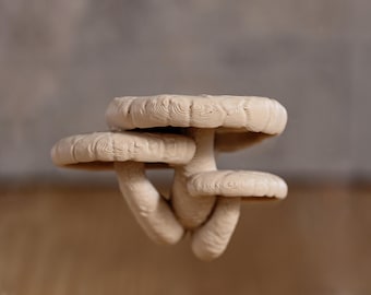 Jumping Spiders Ledge - Shiitake Mushroom (Lentinula edodes) - Shelf for Enrichment - Spider Perch