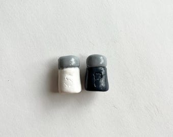 Set di magneti in argilla fatti a mano per sale e pepe