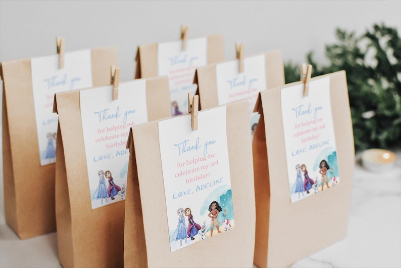 Moana Frozen Birthday thank you tags, Moana Elsa party, 1st 2nd 3rd 4th 5th birthday pua hei hei ocean decor party favor, gift bag boxes image 1
