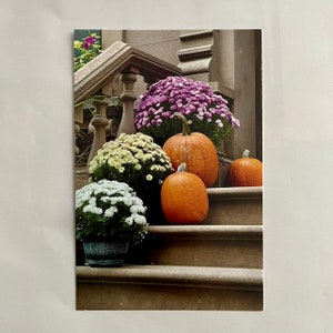 Postcard Fall Stairs in New York