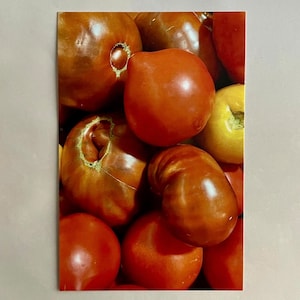 Carte postale Tomates de la récolte d'automne