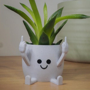 May include: A white ceramic planter shaped like a smiling face with two raised middle fingers. The planter is holding a green succulent plant.