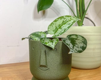 Happy Fuzzy Skin Head Planter | Schattige vetplantpot | Vetplantenbak | Woondecoratie: duurzame milieuvriendelijke materialen