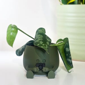 Peut inclure: Pot de fleur vert olive fantaisiste en forme de personne tenant un appareil photo. Il contient une plante verte à feuilles à motifs. Un grand pot vert avec une plante sansevieria est en arrière-plan.