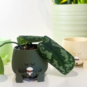 Puede incluir: Una colección de macetas decorativas en varios colores, incluyendo verde y crema. Una maceta presenta un diseño caprichoso de un personaje sosteniendo una taza de café. Las macetas están llenas de vegetación, incluyendo una planta de serpiente y otras plantas frondosas.