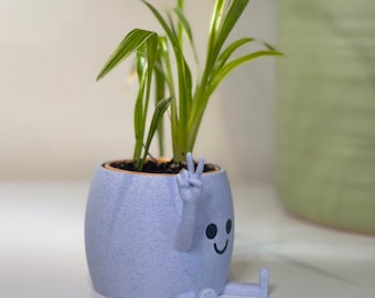 Maceta Happy Happie, linda y divertida maceta, regalo para amantes de la paz, decoración moderna y divertida para el hogar: ¡entrega rápida!