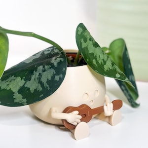 Puede incluir: Una maceta caprichosa de color blanquecino con una cara de dibujos animados, brazos y piernas, sosteniendo un ukelele marrón. La maceta contiene una planta verde con hojas estampadas. Una maceta verde más grande está en el fondo.