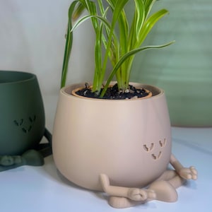 Yoga Face Succulent Planter: Zen Home Decor - Eco-Friendly