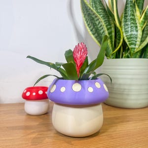 May include: A whimsical mushroom-shaped planter in cream and purple, with white polka dots on the purple cap. It holds a vibrant green plant with a red flower. A smaller red and white mushroom planter is also visible.