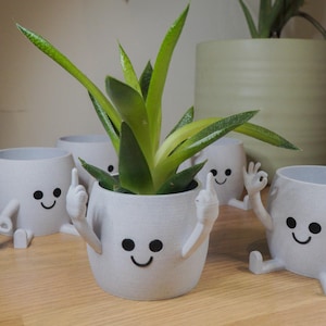 Puede incluir: Varios maceteros blancos con caras sonrientes, brazos y piernas, cada uno con una planta suculenta. Una maceta muestra el dedo medio, otra el gesto de 'ok'. Las macetas están sobre una superficie de madera.