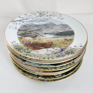 Peter Barrett Plates - Etsy