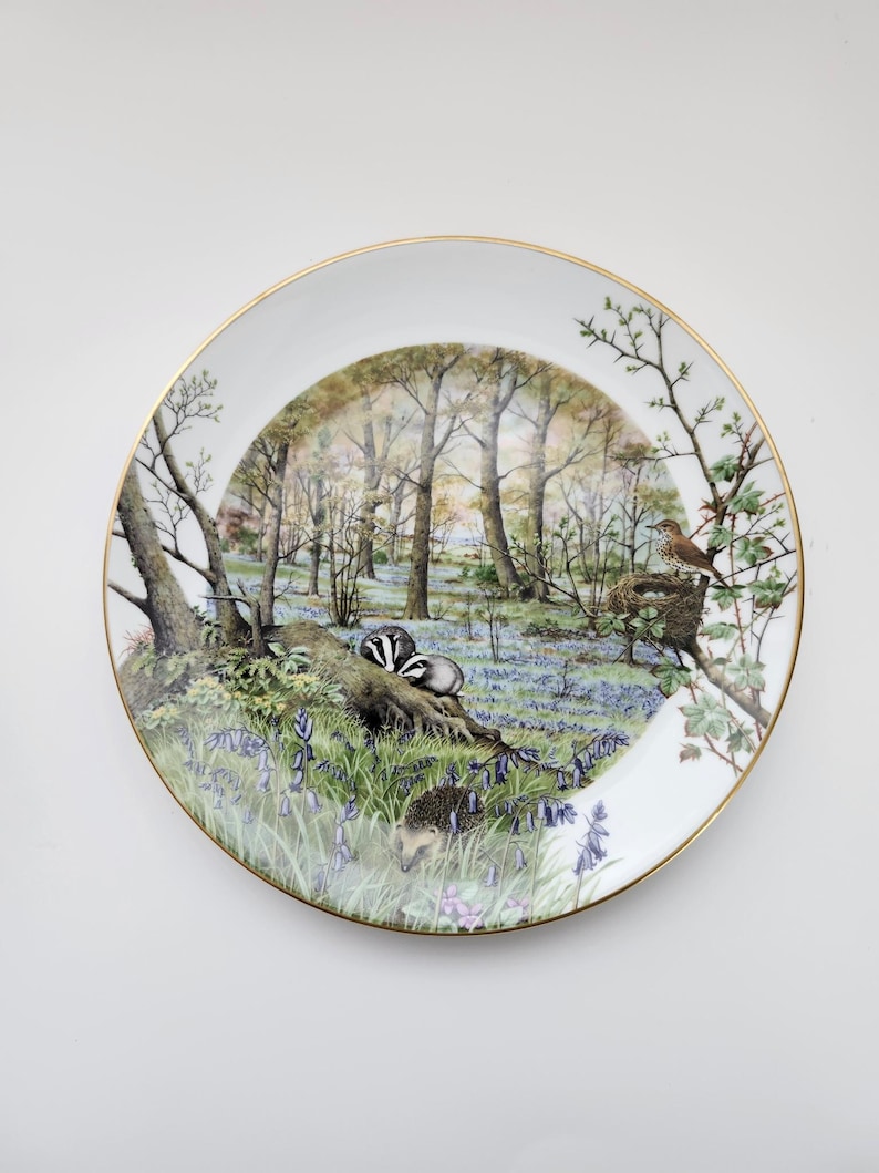May include: A white decorative plate with a gold rim featuring a detailed forest scene. The scene includes trees, bluebells, a badger, a hedgehog, and a bird. The plate's design is a nature-themed illustration.