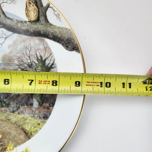 May include: A decorative plate with a gold rim, featuring a detailed landscape scene with an owl perched on a tree branch. The plate measures approximately 10 inches in diameter.
