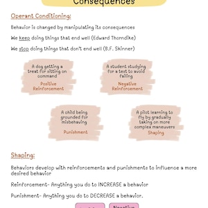 Op de afbeelding: Witte educatieve infographic getiteld "Leren door gevolgen" met tekst die operante conditionering en shaping uitlegt. Voorbeelden zijn positieve en negatieve bekrachtiging en straf.