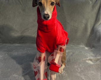 Italian Greyhound Fashion Sweater | Mesh Heart Sleeves