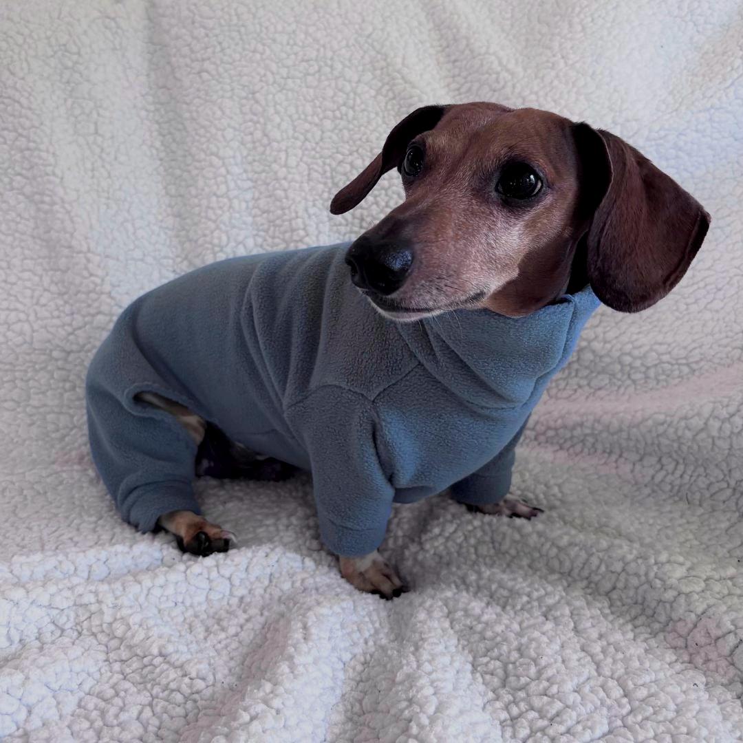 ASOS - Pyjama Avec T-shirt Motif Teckel Et Short - Asos - Pickture