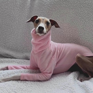Italian Greyhound Turtleneck Sweater