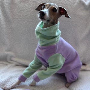 Italian Greyhound Combo Jumpsuit