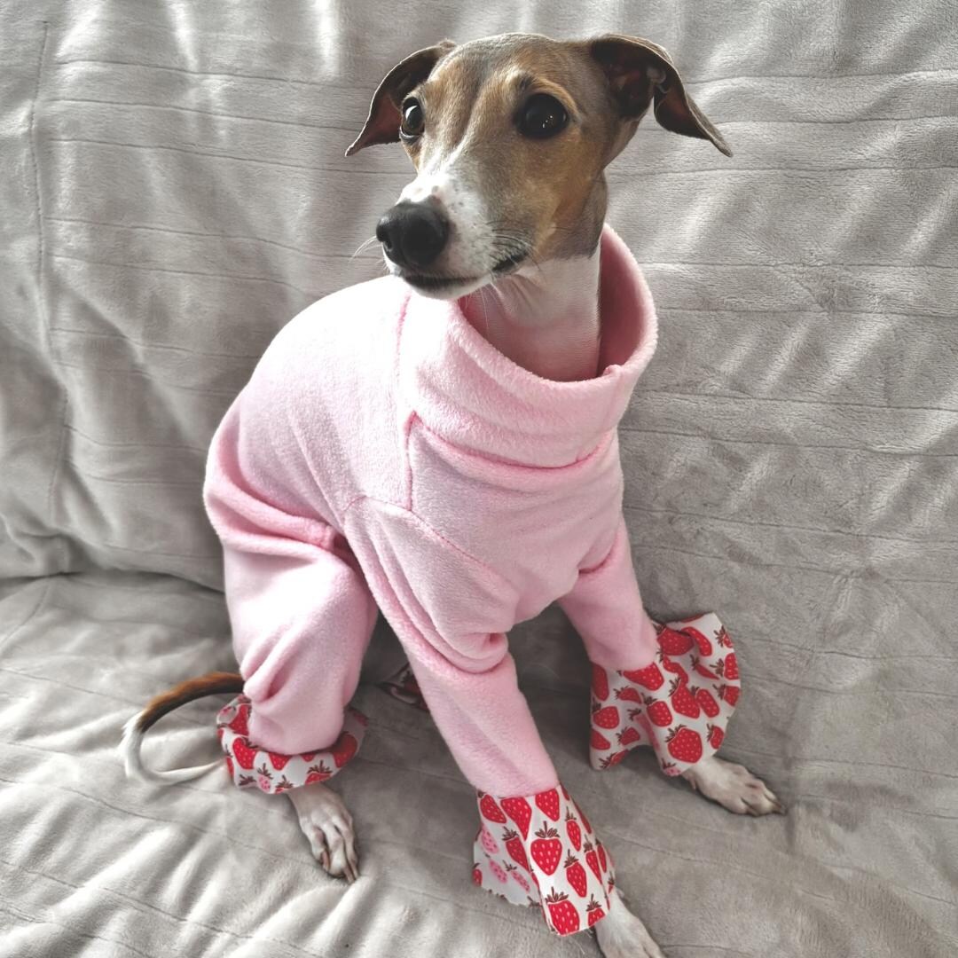 Italian Greyhound Bell Bottom Jumpsuit - Etsy