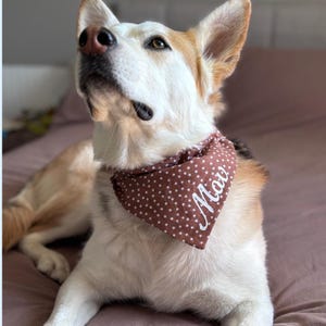 Personalized Over-Collar Bandana