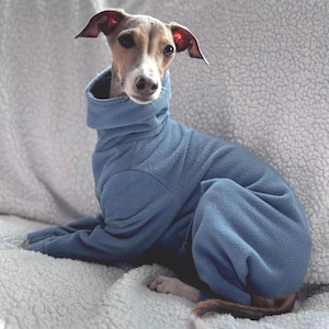 Italian Greyhound Sweater | Iggy Pajamas