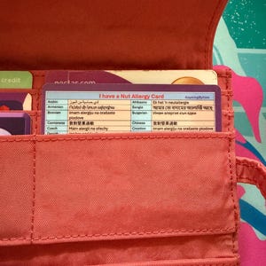 Tarjetas de viaje para concienciar sobre la alergia a los frutos secos: 54 idiomas en una sola tarjeta. Tamaño de tarjeta de crédito de plástico con funda de plástico. Compañero de viaje perfecto.