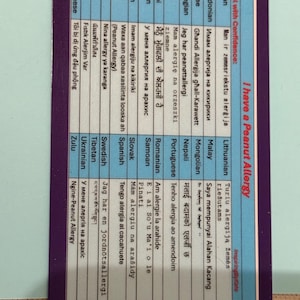 Cartões de Viagem de Conscientização sobre Alergia a Amendoim - 54 idiomas em um cartão. Tamanho de cartão de crédito de plástico com carteira de plástico. Companheiro de viagem perfeito.