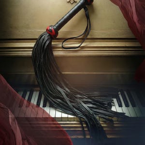 Leather BDSM Flogger With Long Tails Heavy Fetish Spanking Whip With Wooden Handle BL-RED 70