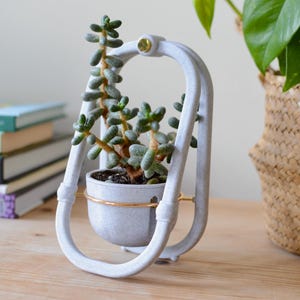Puede incluir: Un soporte blanco en forma de arco para plantas con una pequeña planta suculenta. El soporte tiene una maceta circular con una banda dorada. El soporte para plantas está sobre una superficie de madera, con libros y una cesta de mimbre al fondo.