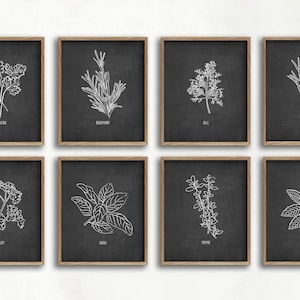 black and white herb art print set, farmhouse decor, kitchen art, dining room art, botanical print, herb illustrations, unframed prints