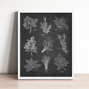 kitchen herb wall art print, botanical kitchen art, chalkboard kitchen art, herb drawing, kitchen print, kitchen decor, herb print