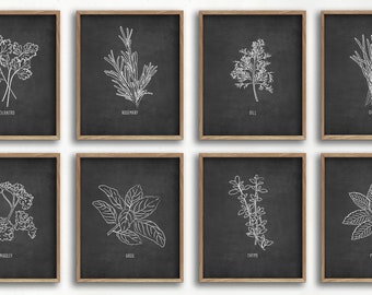 black and white herb art print set, farmhouse decor, kitchen art, dining room art, botanical print, herb illustrations, unframed prints
