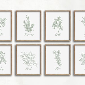 green and white herb art print set, kitchen art, kitchen decor, dining room art, botanical print, herb illustrations, farmhouse art print