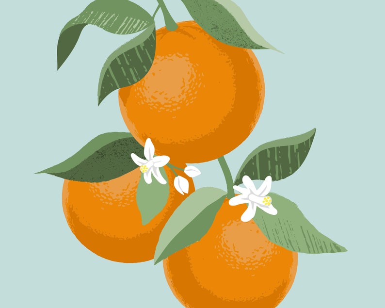 Pode incluir: Tr&ecirc;s laranjas laranja com folhas verdes e flores brancas sobre um fundo azul claro.