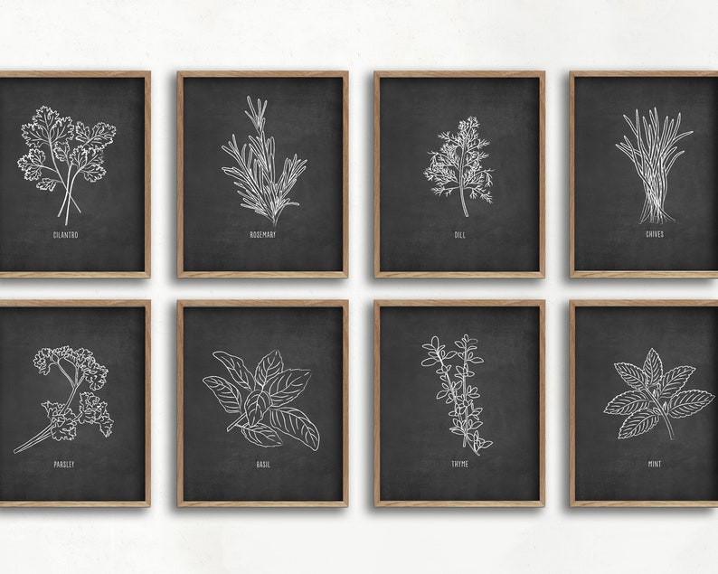 Black and White Herb Art Print Set Farmhouse Decor Kitchen Etsy