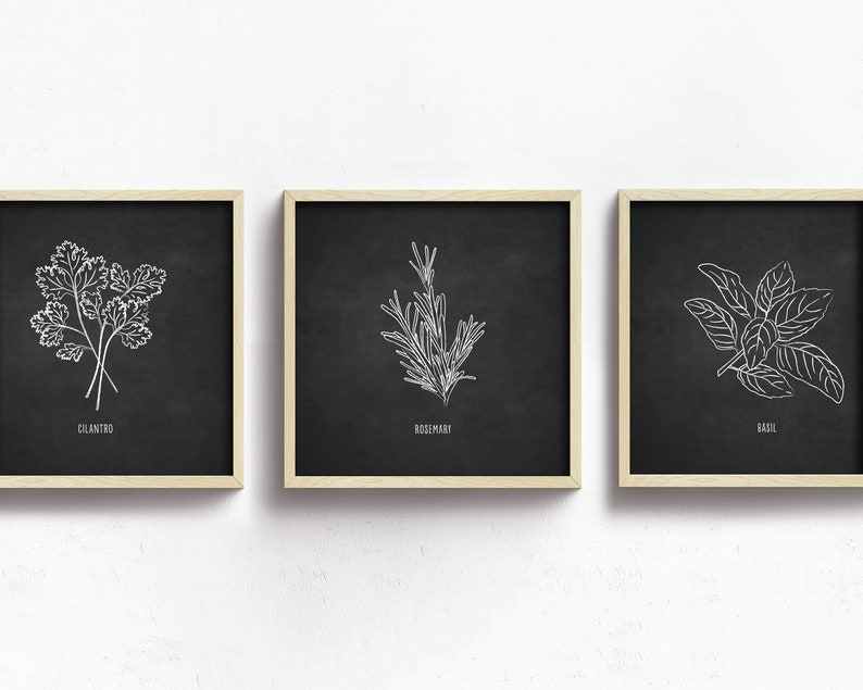 Black and white herb art print set farmhouse decor kitchen Etsy