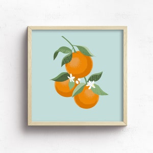 Pode incluir: Uma ilustra&ccedil;&atilde;o emoldurada de um ramo de laranjeira com tr&ecirc;s laranjas e flores brancas sobre um fundo azul claro.