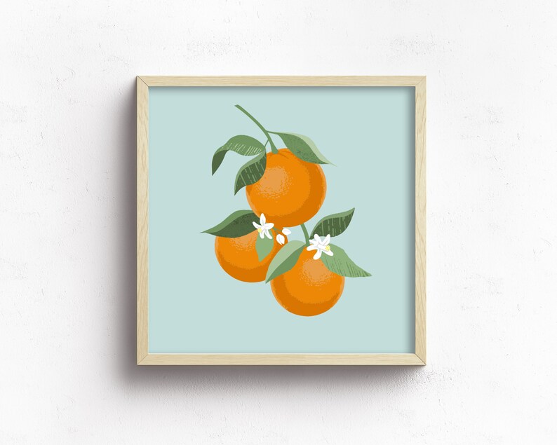 Pode incluir: Uma ilustra&ccedil;&atilde;o emoldurada de um ramo de laranjeira com tr&ecirc;s laranjas e flores brancas sobre um fundo azul claro.