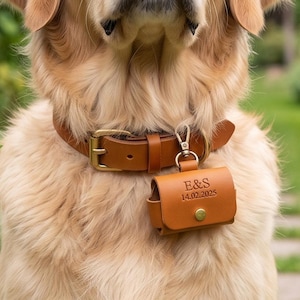 Può includere: Un golden retriever indossa un collare per cani in pelle color cuoio con una custodia in pelle abbinata fissata da una clip in metallo. La custodia presenta una chiusura a pressione in ottone e le lettere E&S con la data 14.02.2025 incise.