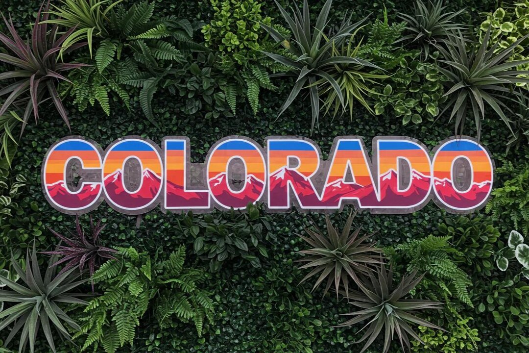 Colorado LED Neon Sign With Mountain Scene - Etsy